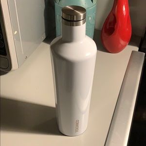 Corkcicle Wine Bottle